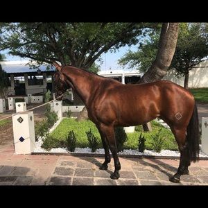 Meet your Posher, Obed